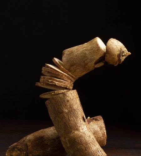 composition nutritious cassava roots sliced